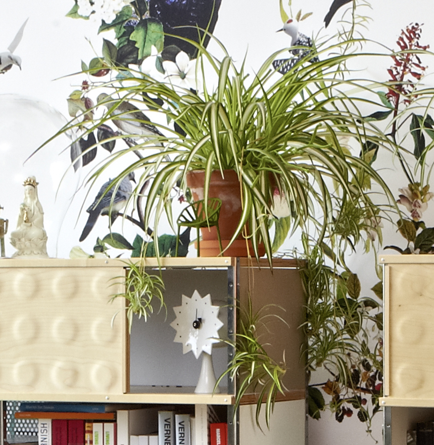 开云（中国） - 附件|钟表|办公家具|设计师家具|陶瓷钟